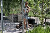 PARC CHIOTS 010